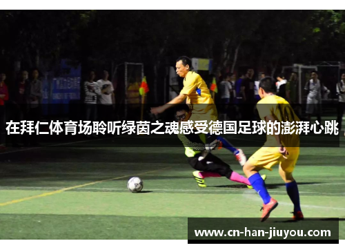 在拜仁体育场聆听绿茵之魂感受德国足球的澎湃心跳 在拜仁体育场聆听绿茵之魂感受德国足球的澎湃心跳