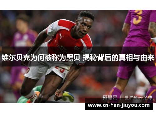 维尔贝克为何被称为黑贝 揭秘背后的真相与由来